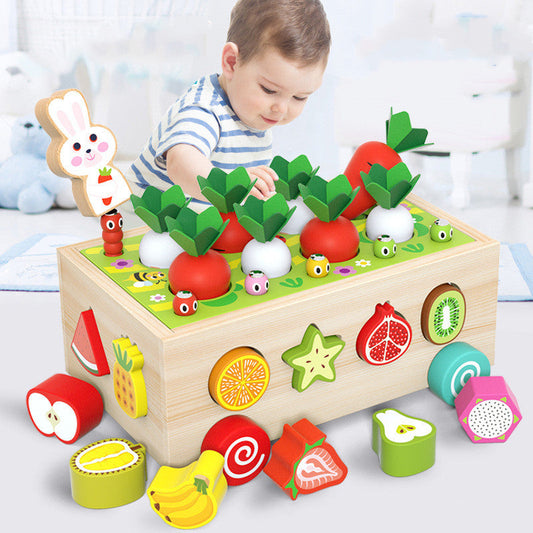 Montessori Wooden Shape Sorter Toy: Educational and Fun for Toddlers